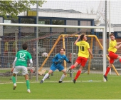 260411_11_SVZ_VVZ_1-1